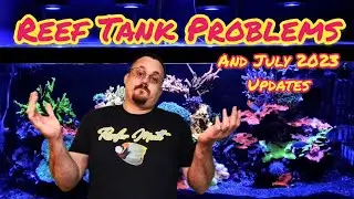 Reef Tank Problems and Updates