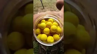 PVA Hydrospol Mesh #carp #carpfishing #fishing #angeln #carpangler #fishingshorts #pesca #fyp