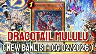 Dracotail Mululu Limited !!🐲 YGOPRO - Branded Dracotail Feb.2026 | New Banlist TCG 02/2026
