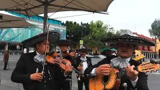 Hermoso Cariño Mariachis de Garibaldi Amanecer de México