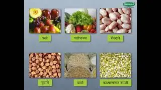 Science Concept आहार - Food and Diet (5-6 grade) Marathi med
