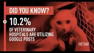 In 2018 Only 10.2% of Veterinary Hospitals Are Using Google Posts