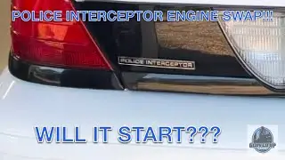 Crown Vic P71 Engine Swap!!!! Will it start???