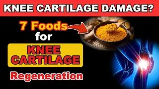The Diet Plan: 7 Amazing Foods for KNEE CARTILAGE Regeneration | Seniors Health Tips