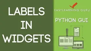 Labels in Widgets - PythonGUI Video Tutorial