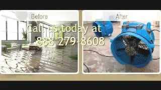 Flood Removal Hayward Ca Mold Removal
