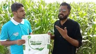 BOOST Your Maize Crop Production with Ultrasol!