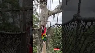 Ghana is 67 years old! Independence Day in Ghana #visitghana #Ghana #yearofreturn #GhanaFlag #Gh