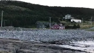 Strong ocean waves kill fishes at Flatrock, Newfoundland