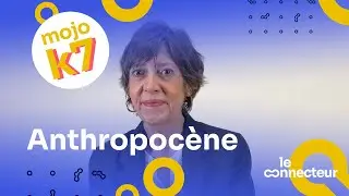 Brigitte Nivet : Anthropocène et organisation du travail