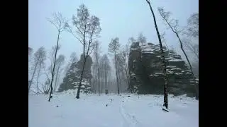 Musical Illustration ~ Harz (National Park Germany) - 