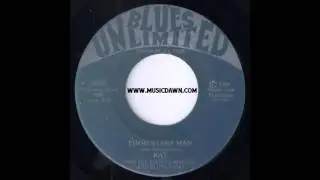 Kat And The Kittens Rhythm And Blues Band - Food Stamp Man [Blues Unlimited] 1984 Blues 45