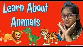 Learn about different animals | 3D Animals at home | अलग अलग जानवरों के बारे में जाने | Kid Activity