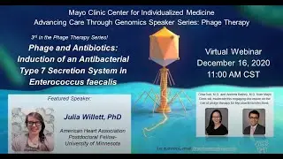 Phage and Antibiotics-Induction of an Antibacterial Type 7 Secretion System in Enterococcus faecalis