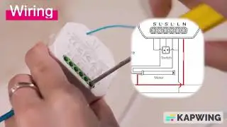 Top Rated Tuya WiFi RF Roller Blind Shutter Curtain Switch Module to Buy in 2023