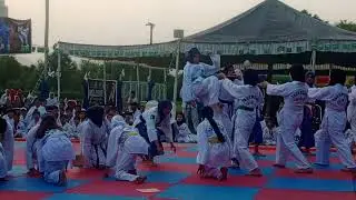 Jump Front Kick
