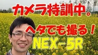 カメラ特訓中！ヘタでも撮る！NEX-5R+SEL50F18