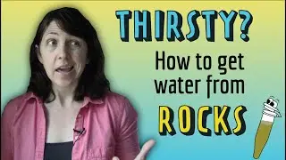 A bacteria that extracts water from rocks! - A 2020 Cool Paper