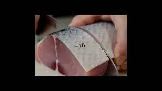Master Chef Rufi 🐰🔪 | Satisfying Vegetable Cutting