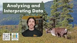 Analyzing and Interpreting Data