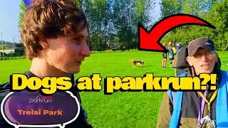 Должны ли ВСЕ забеги parkrun быть дружелюбными к собакам?!🏃🏻&zwj;♂️🐶 (Обзор забега Trelai Park Parkru...