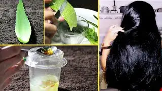 एलोवेरा में सिर्फ 2 चीज मिलाने से बाल होंगे इतने सिल्की | Aloevera Mask for Dry and Damaged Hair