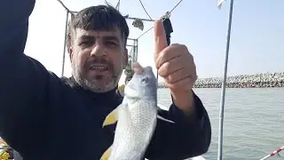 ج2 الصيد في كاسر الامواج. بحر الخليج