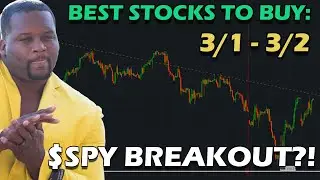 Best Stocks To Buy March 1st!