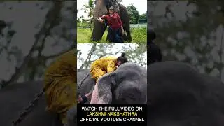 Ini Aana Purathu Oru Savaari Aavale😍