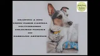 DRAW a Dog using Faber Castell Polychromos COLOURED PENCILS ✏️
