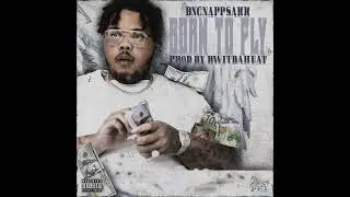 Bwitdaheat x BNG Nappsakk - Born To Fly (Official Audio)