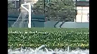 Synthetic Turf and Children (health experts) (artificial soccer / football sports fields) sbr crumb