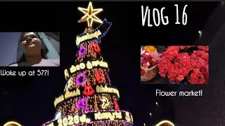 Christmas decoration in Bangalore ✨️🎅|Woke up at 5am|Bangalore |Student |Flower market|Vlog16|#viral