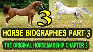 Horse Biographies Part(3)