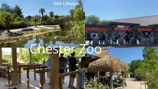 Chester Zoo Trip/ Boat ride/ Amra Chester zoo giyasilam,Bangladeshi kesu jinish ase okane