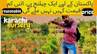 40 rupe ka ek plant 100 rupe ke 3 haseel karen karachi cheapest price nursery world challenge 😳