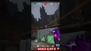 Monday's Madcatz Moment | Hayyel's Ace on Haven