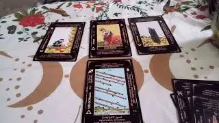 Foodie Beauty Visa Beezin'?! Tarot Reading for Gorl World