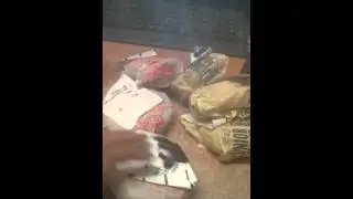 Epic 2000 CALORIES Cheat Meal - Mcdonalds