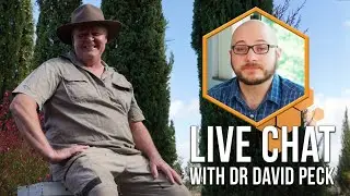 Get Tips From Dr. David Peck On How To Deal With Varroa Mites!