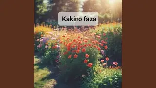 Colors of Life