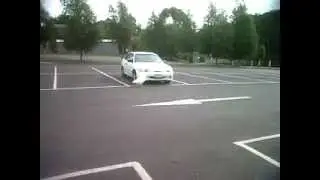 territorial goose