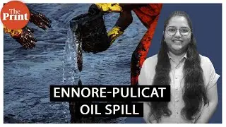 &lsquo;Save Ennore creek&rsquo; &mdash; Chennai oil spill turns focus to a &lsquo;lifeline in ICU&rsquo;
