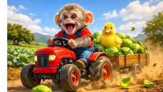 Monkey NaNa Harvests Cabbage Turns Into a Chase &ndash; He Catches the Sneaky Car Thief