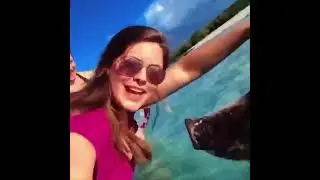Best dog vines