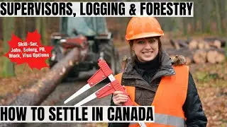 Supervisors, Logging And Forestry OPTIONS FOR CANADA IMMIGRATION | STUDY, WORK & PR DETAILS
