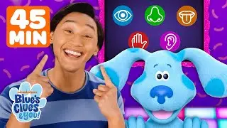 45 Minutes of the 5 Silly Senses Fun! 👃👀👂👅✋ | Blue's Clues & You!