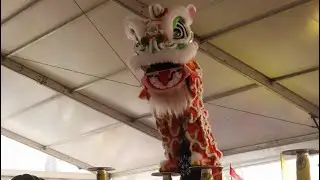 Hung Hing Lion Dance Association | High poles category | NLDC 2025