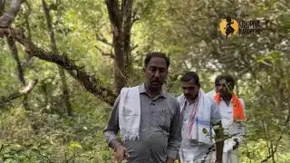 ನಿಜ ಕಾಂತಾರದ ಕಥೆ ಹಿರಿಯಡ್ಕ ಬೊಮ್ಮರ ಬೆಟ್ಟು ಗ್ರಾಮದ, ಸುವರ್ಣಾ ನದಿ ತೀರದ ಈ ಕಾಡೊಳಗೆ ಅಡಗಿದೆ 