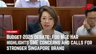 Budget 2025 debate: Foo Mee Har highlights SME concerns and calls for stronger Singapore brand